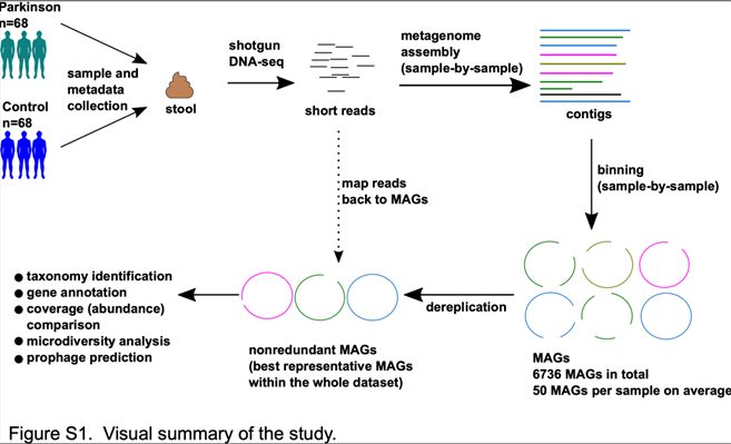 Kuva 5 a Visual summary of the study.